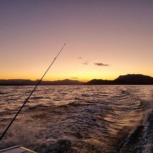 Meet your Posher, Louise